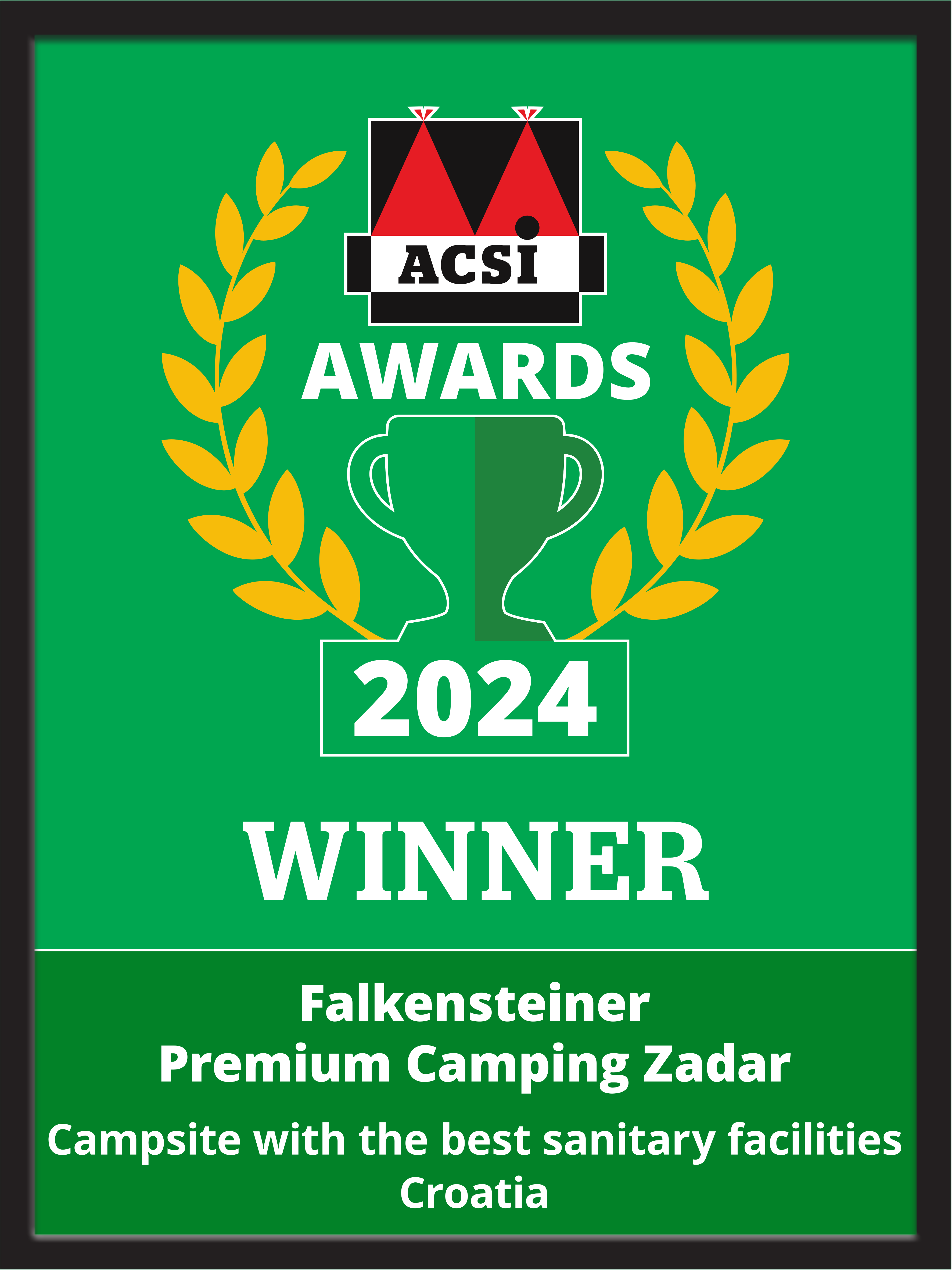 ACSI Winner 2024